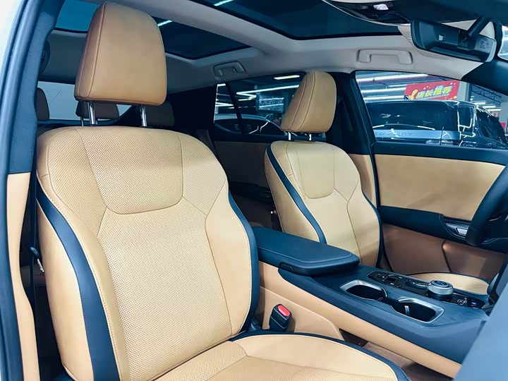 Lexus RZ 2023 2023款 450e 四驱纵享版