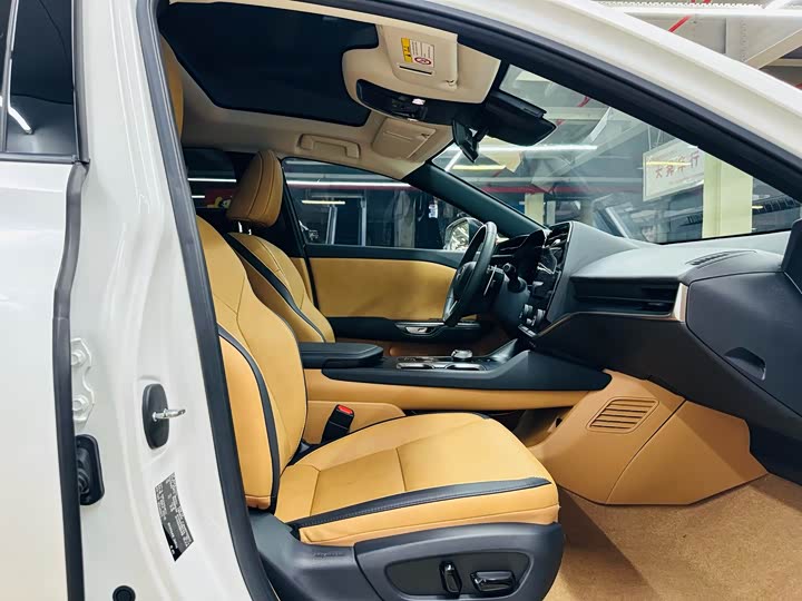 Lexus RZ 2023 2023款 450e 四驱纵享版