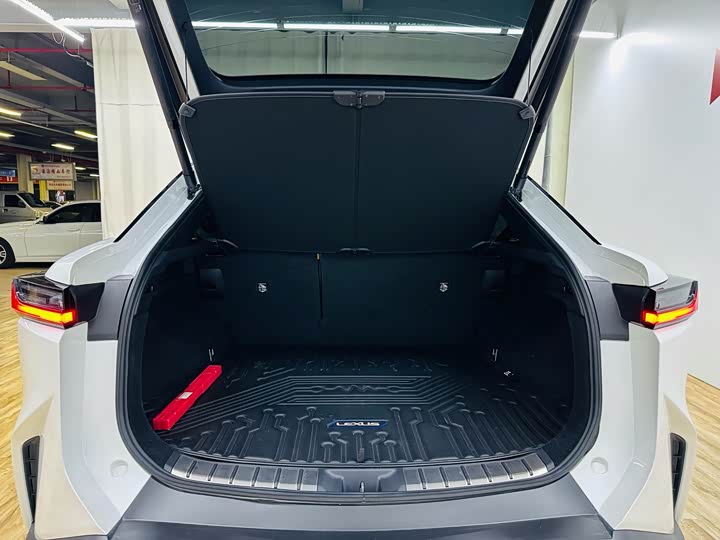 Lexus RZ 2023 2023款 450e 四驱纵享版