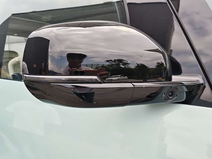 Zeekr Mix 2025 2025款 长续航智驾版