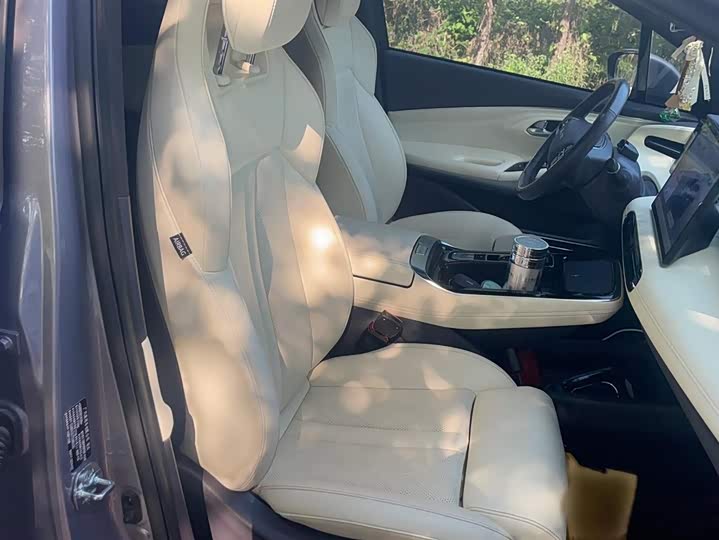 GAC Aion LX 2022 2022款 Plus 80D 旗舰版