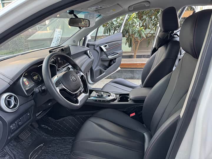 Beijing EU5 2020 2020款 R500 智风版