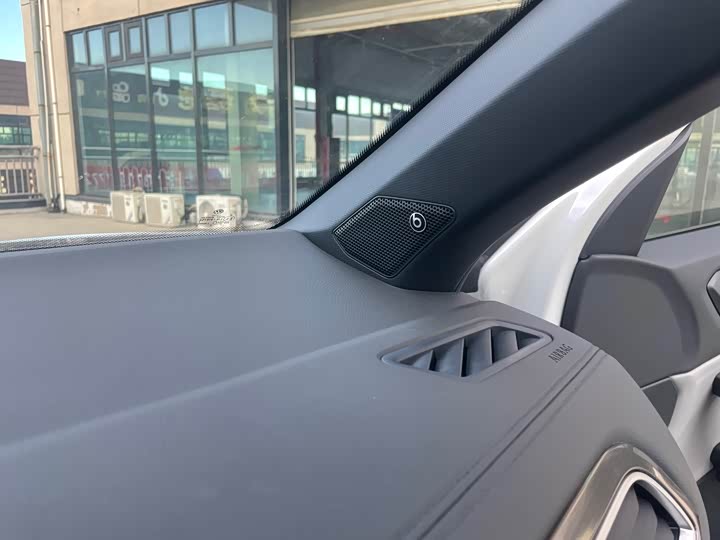 Volkswagen T-Roc 2023 2023款 300TSI DSG两驱星光版