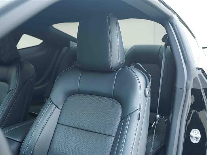 Ford Mustang 2024 2024款 2.3T EcoBoost 硬顶性能版