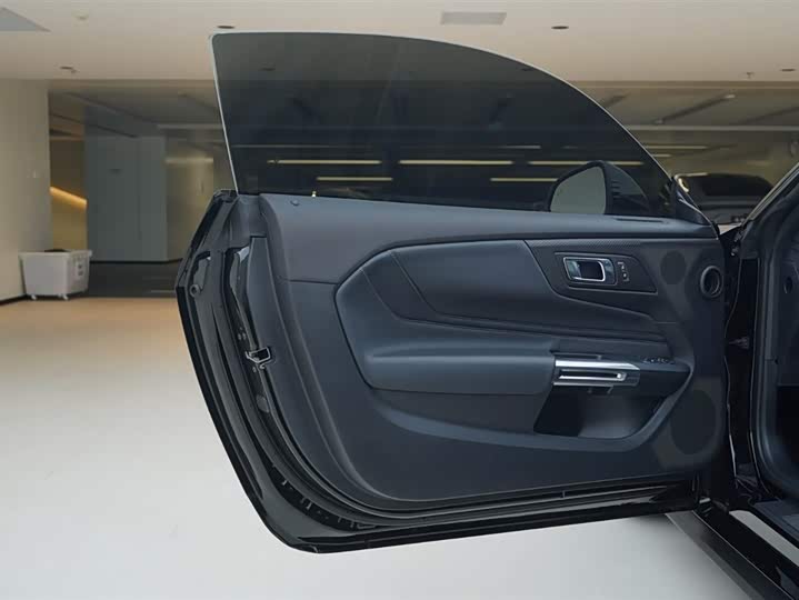 Ford Mustang 2024 2024款 2.3T EcoBoost 硬顶性能版