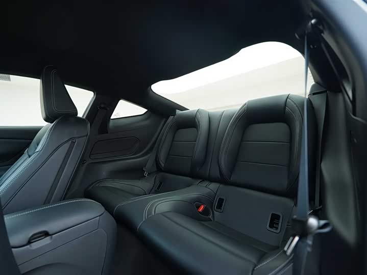 Ford Mustang 2024 2024款 2.3T EcoBoost 硬顶性能版