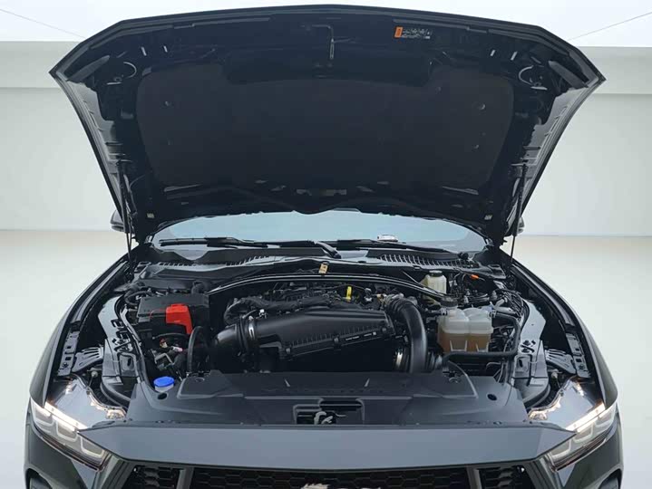 Ford Mustang 2024 2024款 2.3T EcoBoost 硬顶性能版