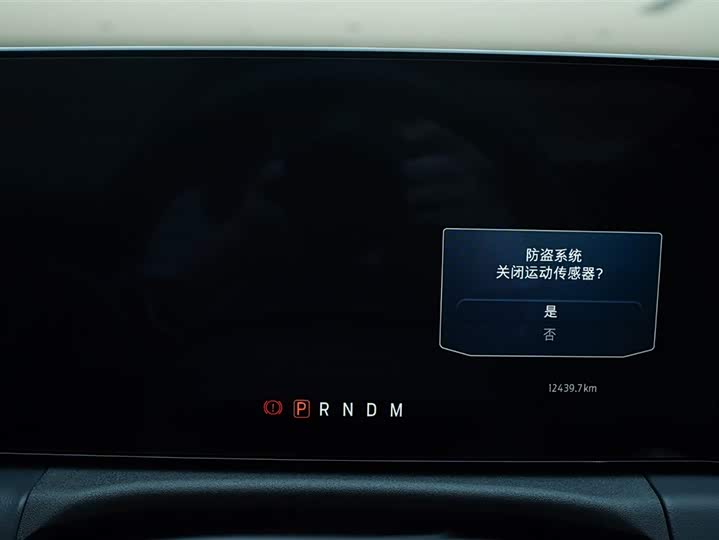 Ford Mustang 2024 2024款 2.3T EcoBoost 硬顶性能版