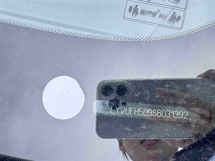 Volvo XC60 Hybrid 2025 2025款 插电式混动 长续航四驱智雅豪华版