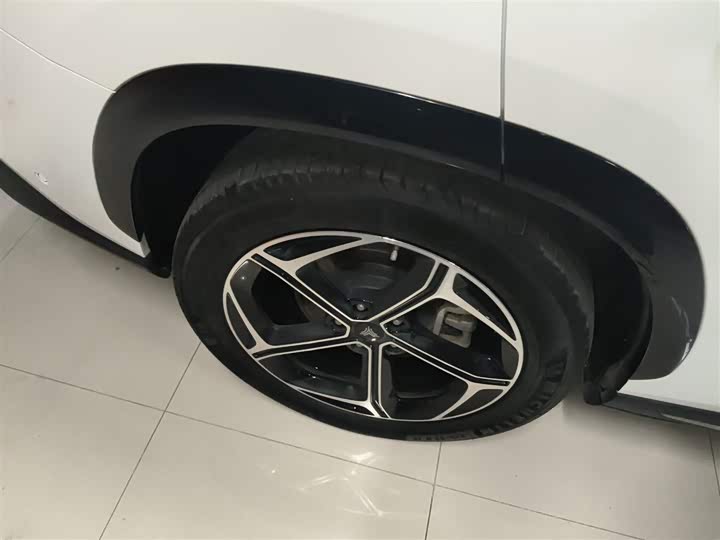 Hozon L 2024 2024款 增程 220 闪充版