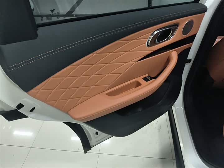 Hozon L 2024 2024款 增程 220 闪充版