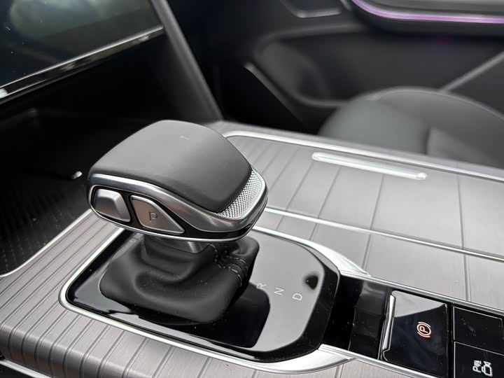 Hongqi HS7 Hybrid 2024 2024款 2.0T PHEV 四驱旗畅版 7座