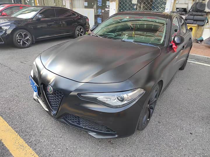 Alfa Romeo Giulia 2021 2021款 2.0T 280HP 豪华版