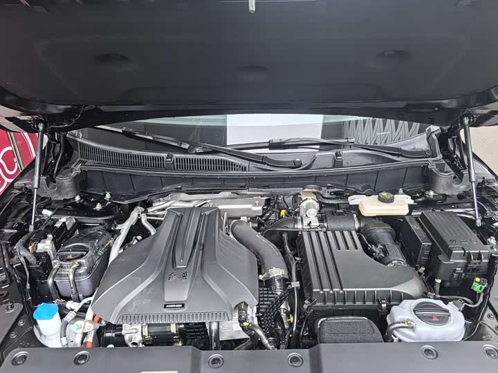 Hongqi HS7 Hybrid 2024 2024款 2.0T PHEV 四驱旗畅版 6座