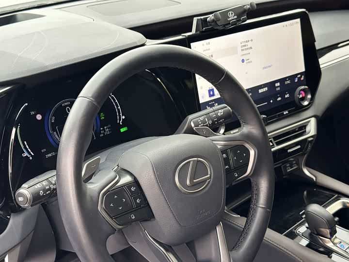 Lexus RX Hybrid 2023 2023款 450h+ 四驱畅享版