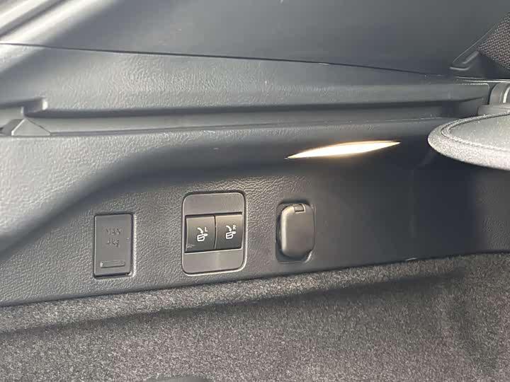 Lexus RX Hybrid 2023 2023款 450h+ 四驱畅享版