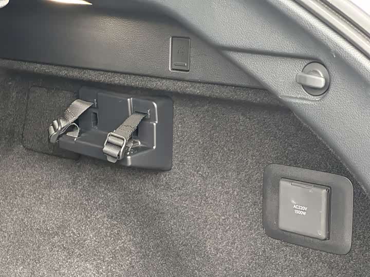 Lexus RX Hybrid 2023 2023款 450h+ 四驱畅享版