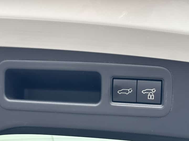 Lexus RX Hybrid 2023 2023款 450h+ 四驱畅享版