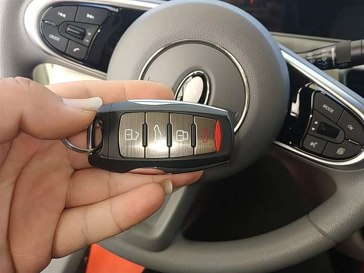 Ora White Cat 2022 2022款 小野猫版 401km 旗舰型 三元锂