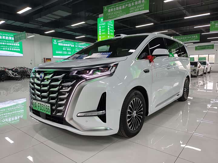 Denza D9 2025 2025款 DM-i 智驾版 1020 四驱旗舰型