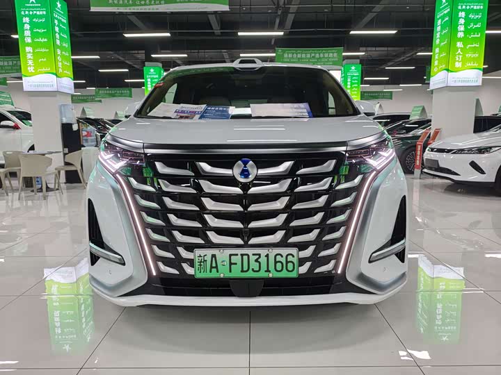 Denza D9 2025 2025款 DM-i 智驾版 1020 四驱旗舰型