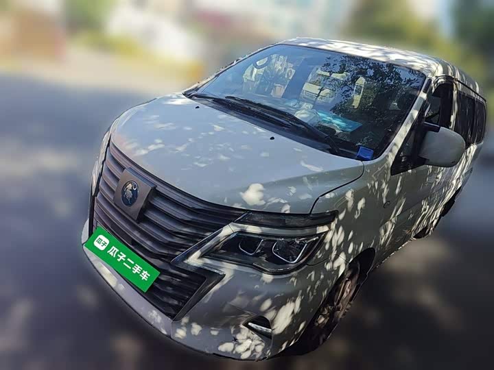 Dongfeng Forthing Lingzhi M5 EV 2022 2022款 普通版 基本型 7座