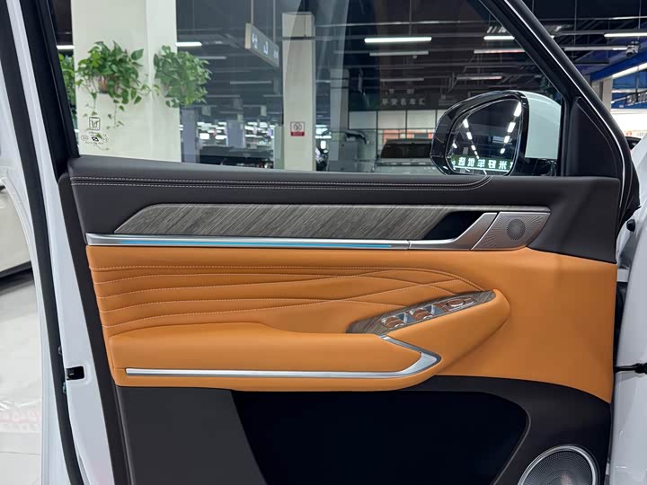 Tank 500 Hybrid 2025 2025款 Hi4-Z