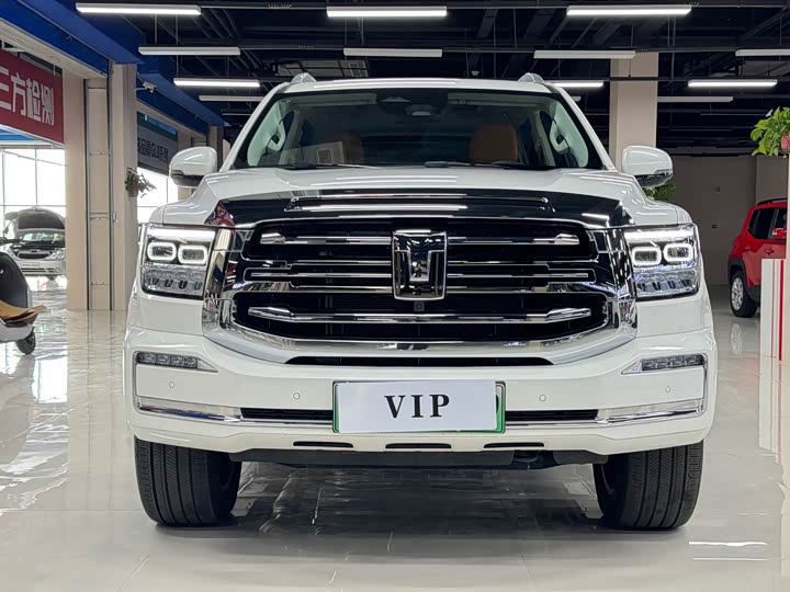 Tank 500 Hybrid 2025 2025款 Hi4-Z