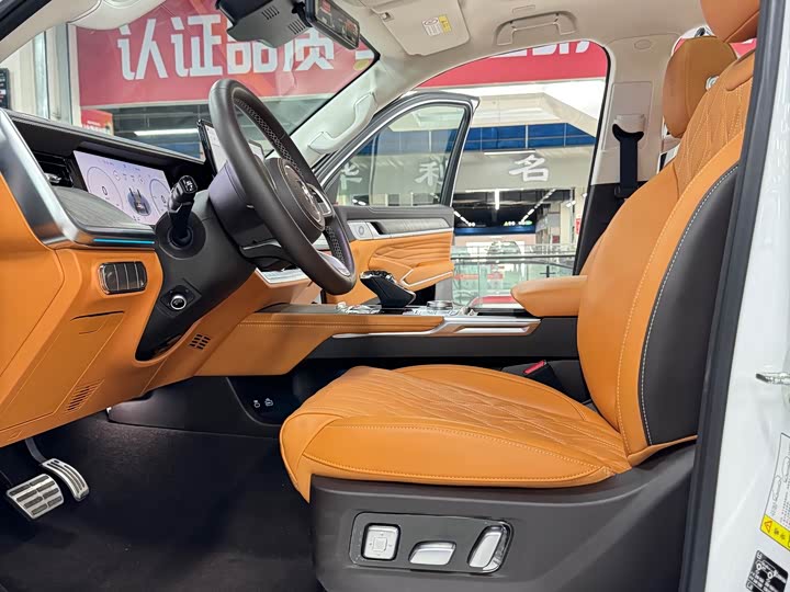 Tank 500 Hybrid 2025 2025款 Hi4-Z