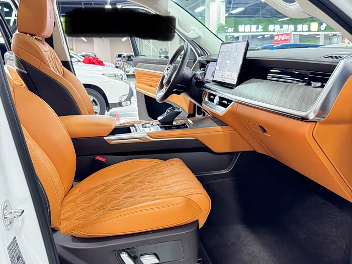 Tank 500 Hybrid 2025 2025款 Hi4-Z