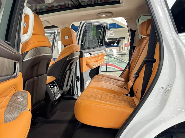 Tank 500 Hybrid 2025 2025款 Hi4-Z