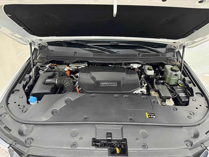 Tank 500 Hybrid 2025 2025款 Hi4-Z