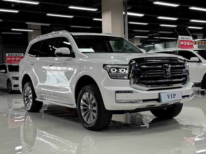 Tank 500 Hybrid 2025 2025款 Hi4-Z