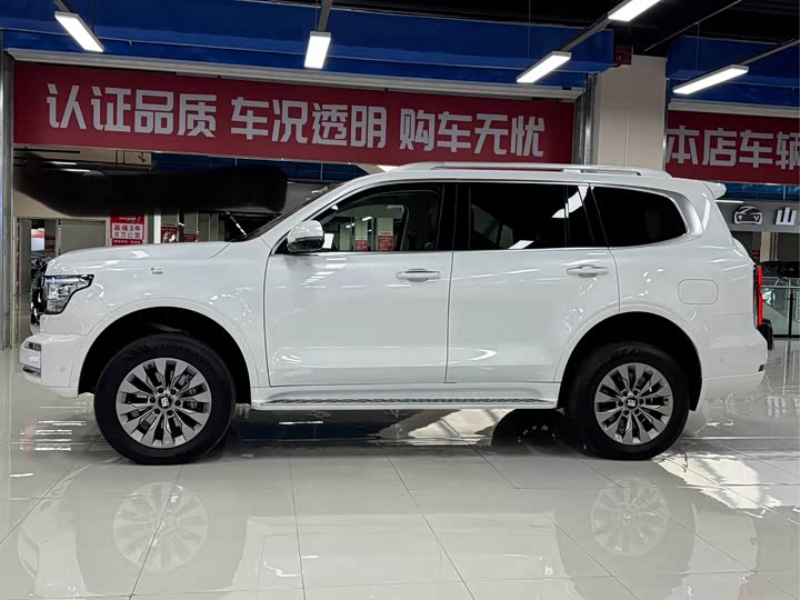 Tank 500 Hybrid 2025 2025款 Hi4-Z