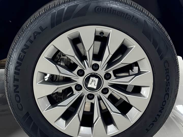 Tank 500 Hybrid 2025 2025款 Hi4-Z