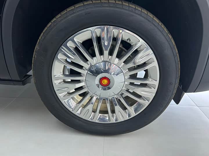 Hongqi LS7 (Guoyao) 2022 2022款 4.0T 尊爵旗舰版 4座