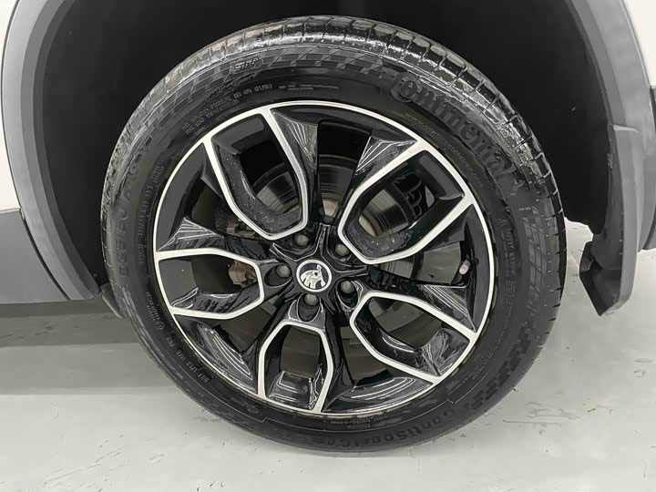 Skoda Kodiaq 2020 2020款 TSI330 5座两驱豪华优享版