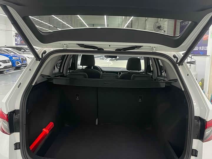 Skoda Kodiaq 2020 2020款 TSI330 5座两驱豪华优享版