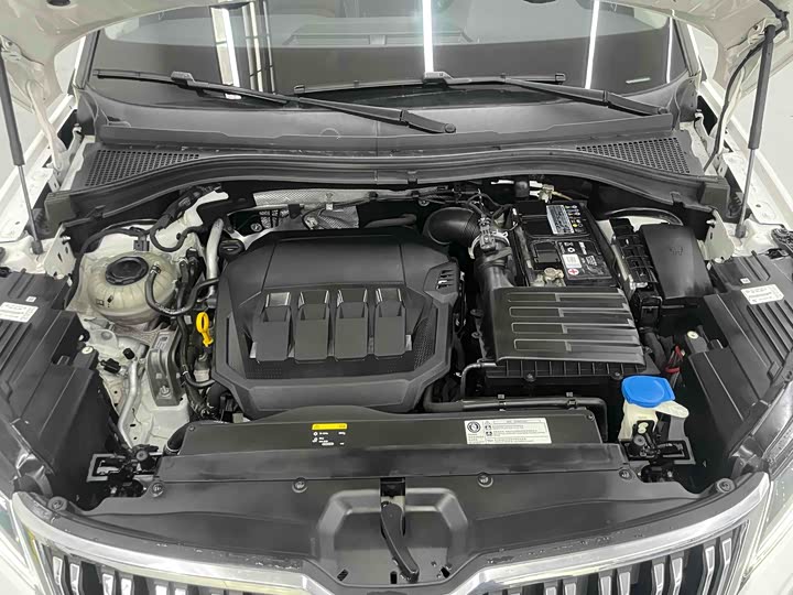 Skoda Kodiaq 2020 2020款 TSI330 5座两驱豪华优享版