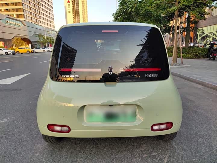 Ora White Cat 2022 2022款 升级版 305km 豪华型 三元锂