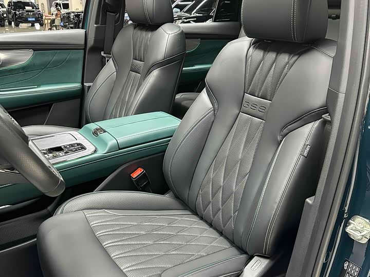 GAC Trumpchi GS8 2024 2024款 双擎系列 2.0TM 四驱尊贵版