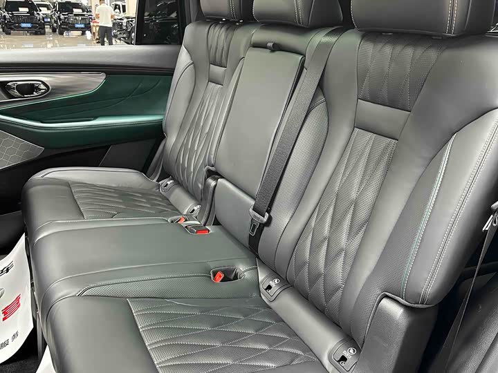 GAC Trumpchi GS8 2024 2024款 双擎系列 2.0TM 四驱尊贵版