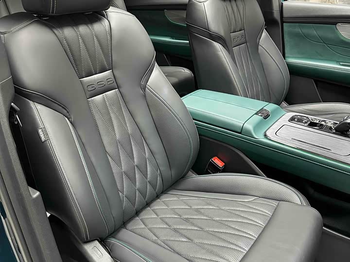 GAC Trumpchi GS8 2024 2024款 双擎系列 2.0TM 四驱尊贵版