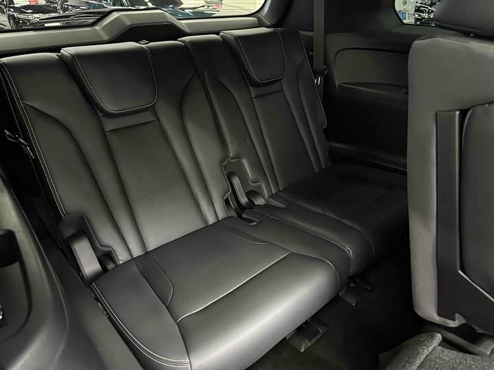 GAC Trumpchi GS8 2024 2024款 双擎系列 2.0TM 四驱尊贵版