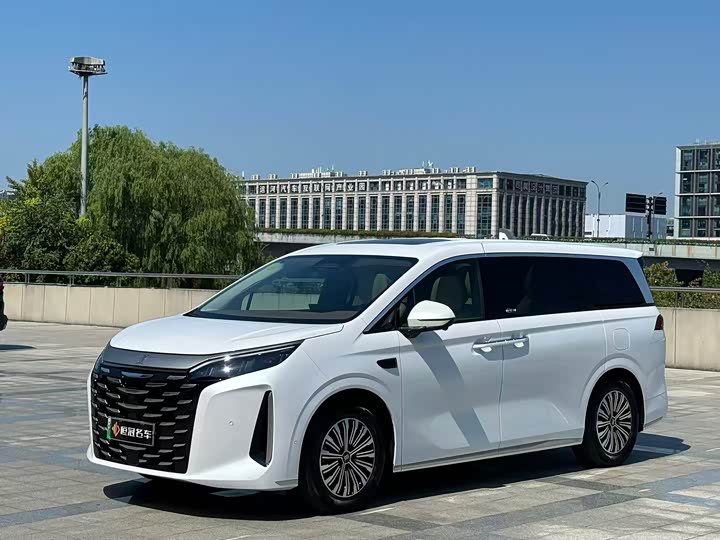 BYD Xia 2025 2025款 DM-i 1.5T 180km 卓越型