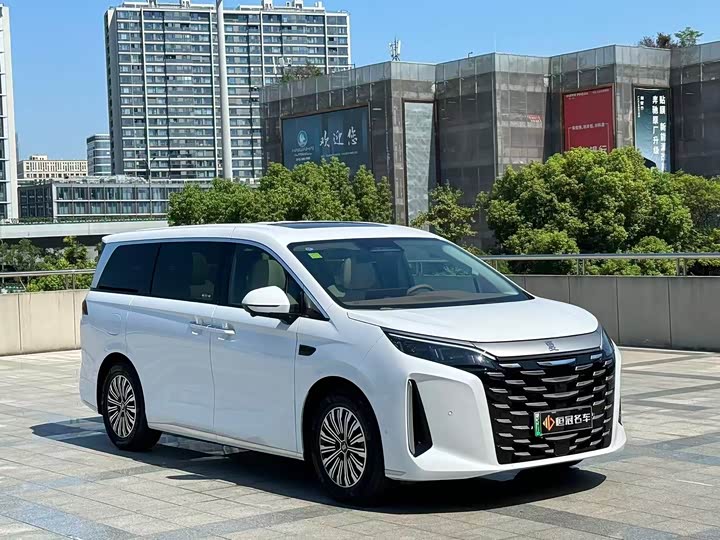 BYD Xia 2025 2025款 DM-i 1.5T 180km 卓越型