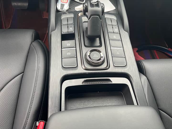 Haval H9 2024 2024款 2.0T 汽油四驱拓境版