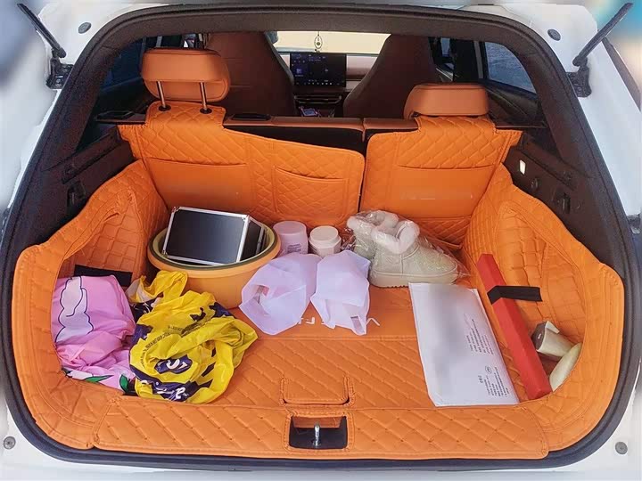 Hozon X 2024 2024款 500 尊享版