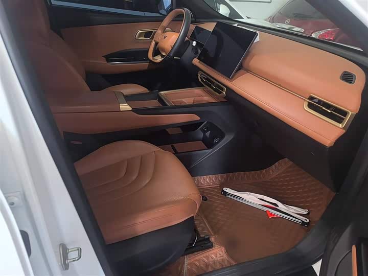 Hozon X 2024 2024款 500 尊享版