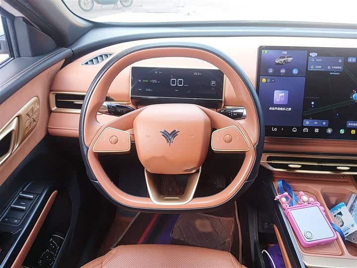 Hozon X 2024 2024款 500 尊享版